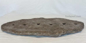 side view forest slab