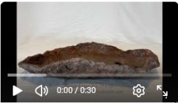 360 video of bonsai forest pot