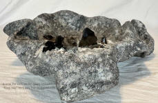 side view of bonsai pot