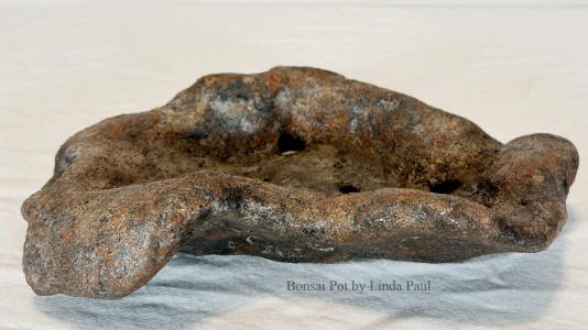 small bonsai pot