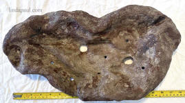 top view of bonsai slab