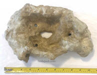 top view rock pot