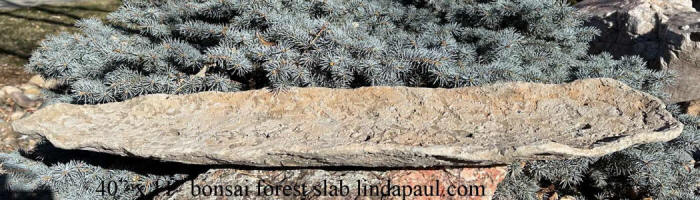 extra long bonsai forest slab