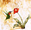 poppy & hummingbird decorative accent tile