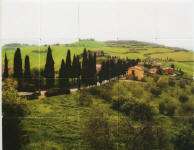  custom tile - photo tiles