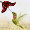 hummingbird tile accent