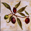 olive tile border