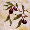 olive border tiles