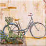 blue bike