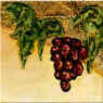 Italian Tile - grapes