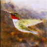 hummingbird decorative tile
