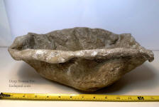 side view of bonsai pot