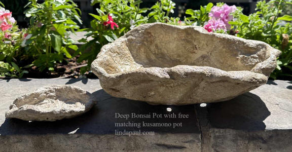 deep bonsai pot for sale by artist
