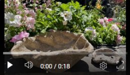 video of deep bonsai pot