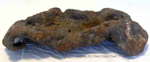 bonsai slab for sale