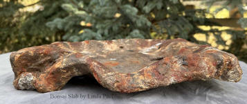 beautuful handmade bonsai slab