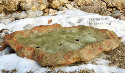 outside picture of bonsai slab in snow