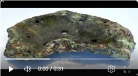 video of lichen slab