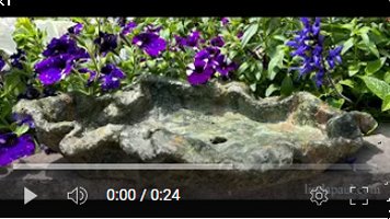 video of dark green bonsai pot