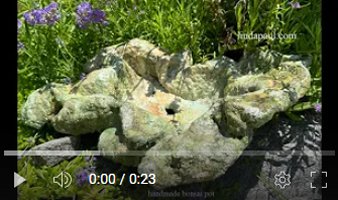 video of green bonsai pot