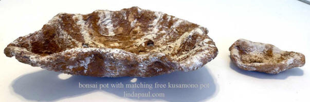 bonsai petal pot with free kusamono little pot