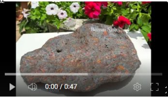 video of bonsai slab