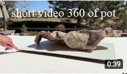 short video showing 360 of pot