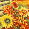 sunflowers accent tile